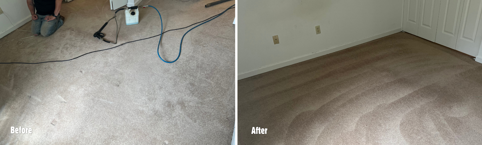 Carpet Cleaners In Rochester NY