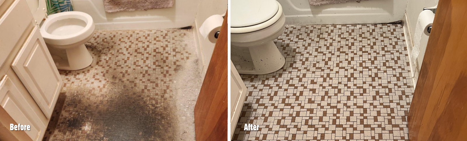 Tile and Grout Cleaning